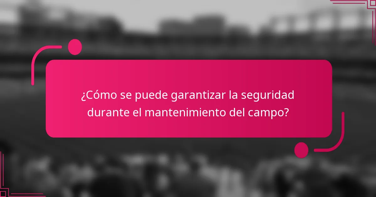 ¿Cómo se puede garantizar la seguridad durante el mantenimiento del campo?